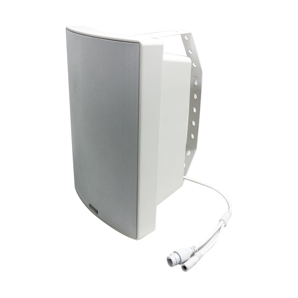 Настінний гучномовець Dante IS-Dante DP430